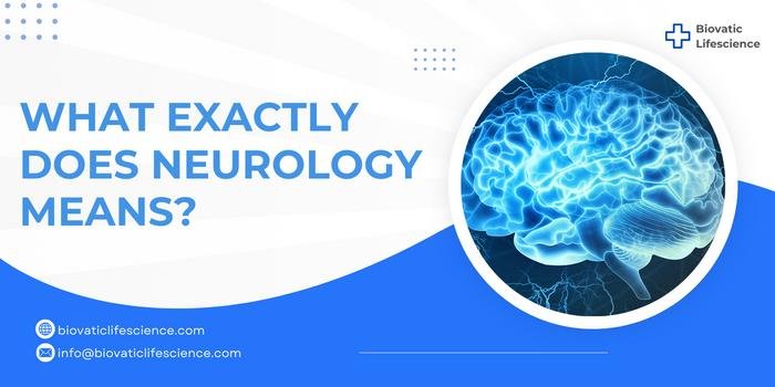What Exactly Does Neurology Means?