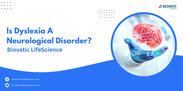 Is Dyslexia A Neurological Disorder?